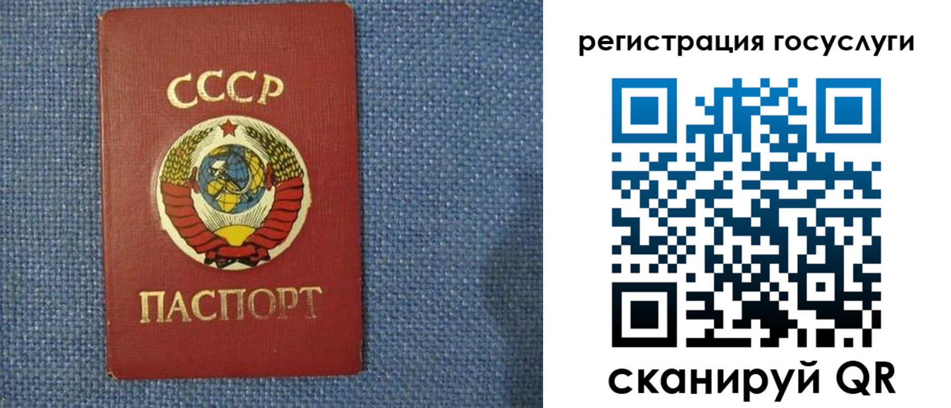 прописка в Новозыбкове